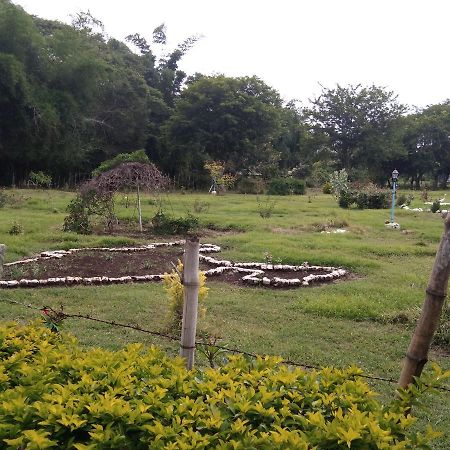 Blue Valley Jungle Resort Nīlgiri Eksteriør bilde
